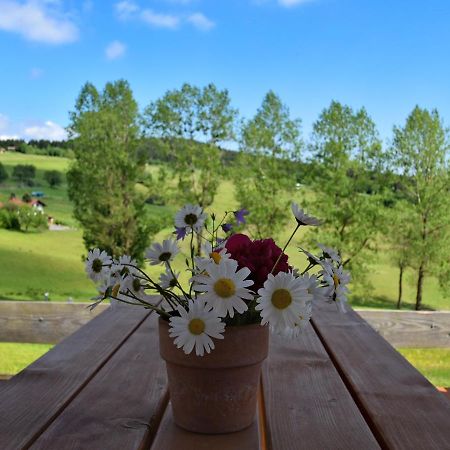 Chalet In Hinterrod Thuringia With Sauna Eisfeld エクステリア 写真