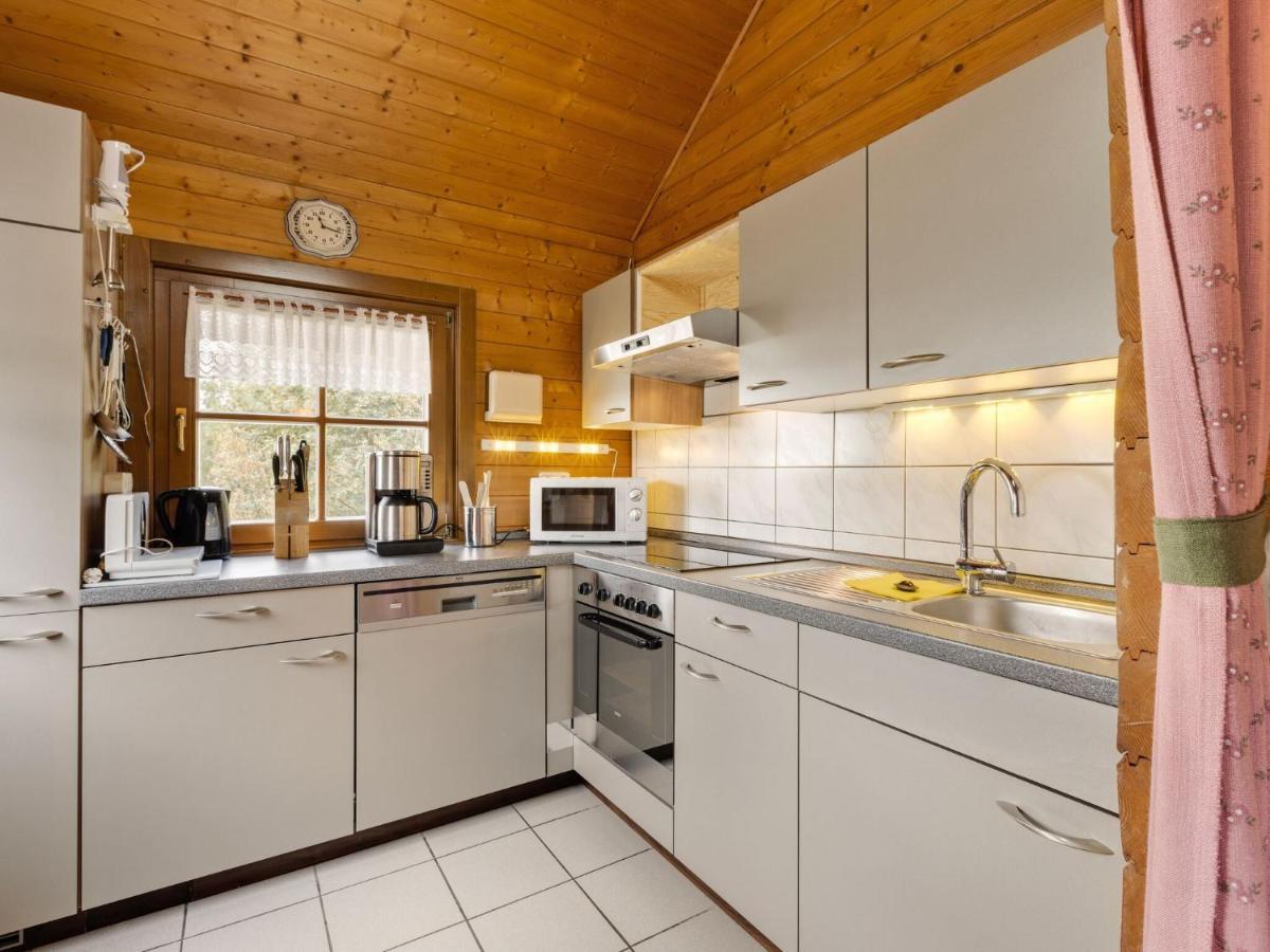 Chalet In Hinterrod Thuringia With Sauna Eisfeld エクステリア 写真
