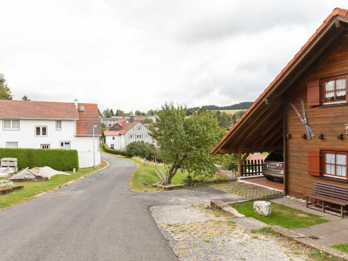 Chalet In Hinterrod Thuringia With Sauna Eisfeld エクステリア 写真