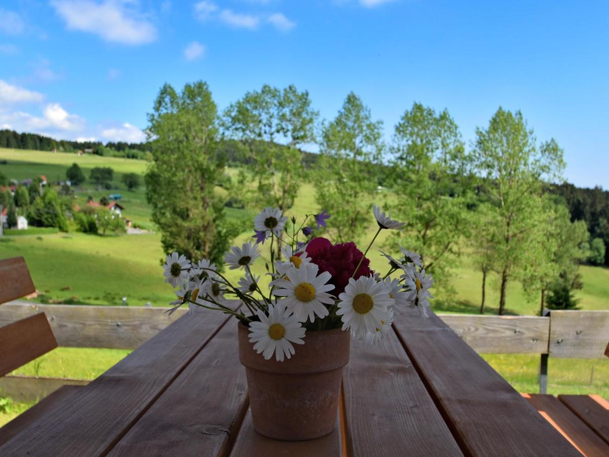 Chalet In Hinterrod Thuringia With Sauna Eisfeld エクステリア 写真